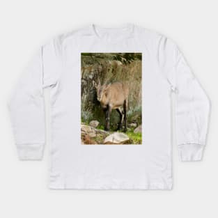 Ibex Kids Long Sleeve T-Shirt